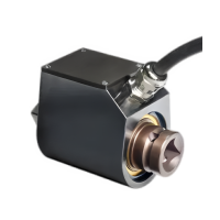 Torque Sensors